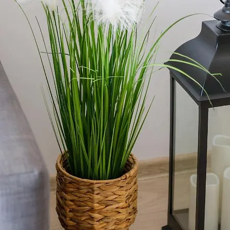 Osiedle Feniks By Renters Apartment *